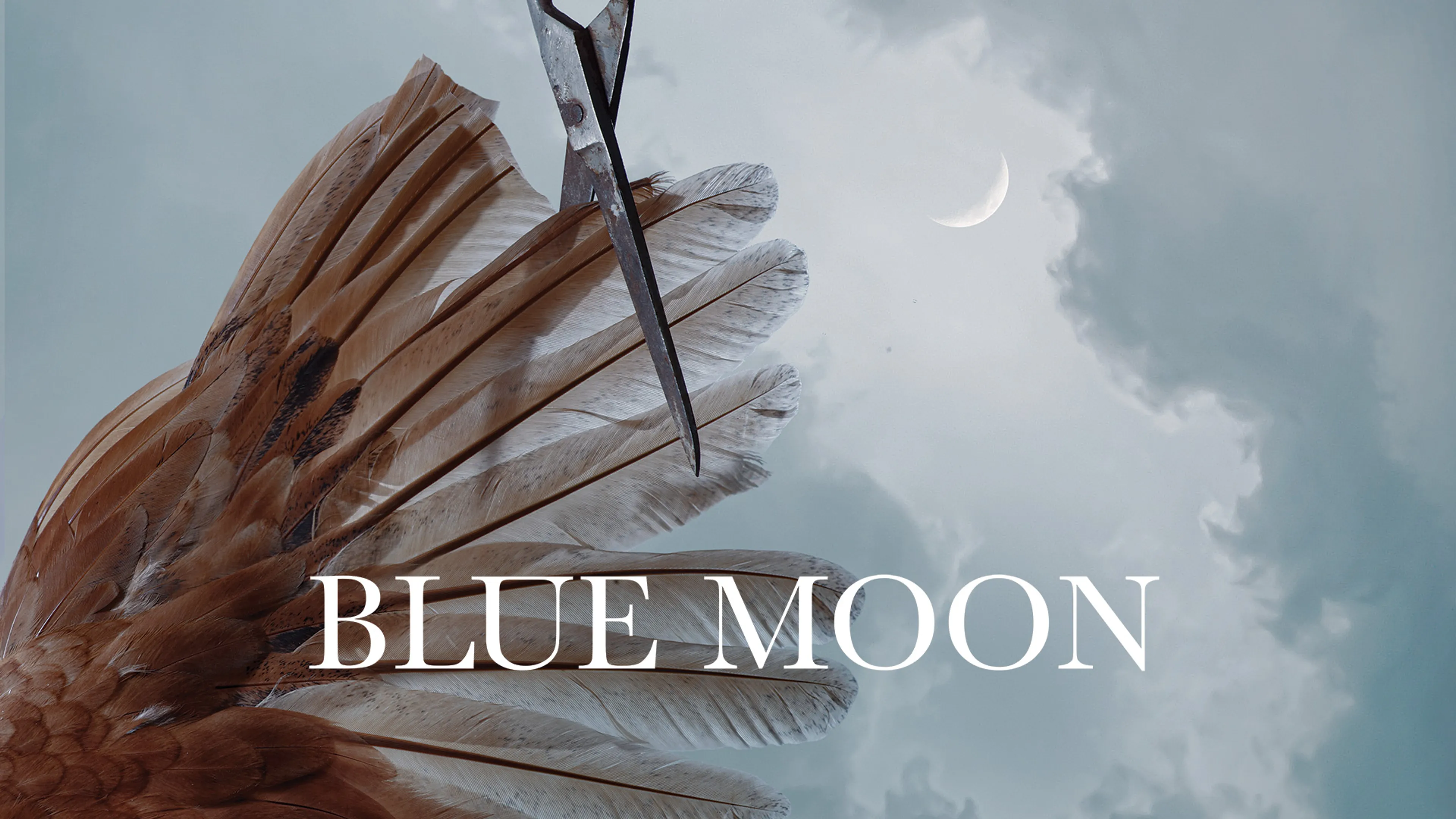 Blue Moon poster